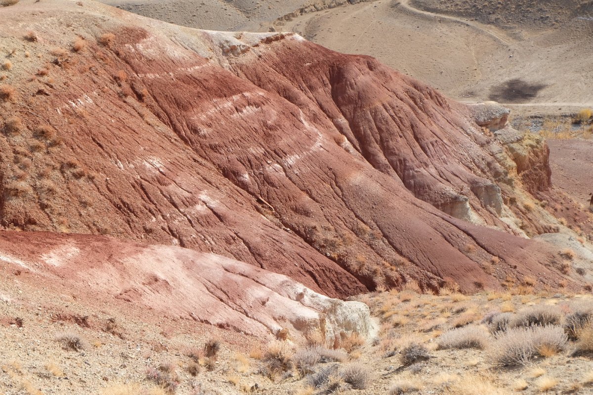 Россия - Алтай. Фото №21
