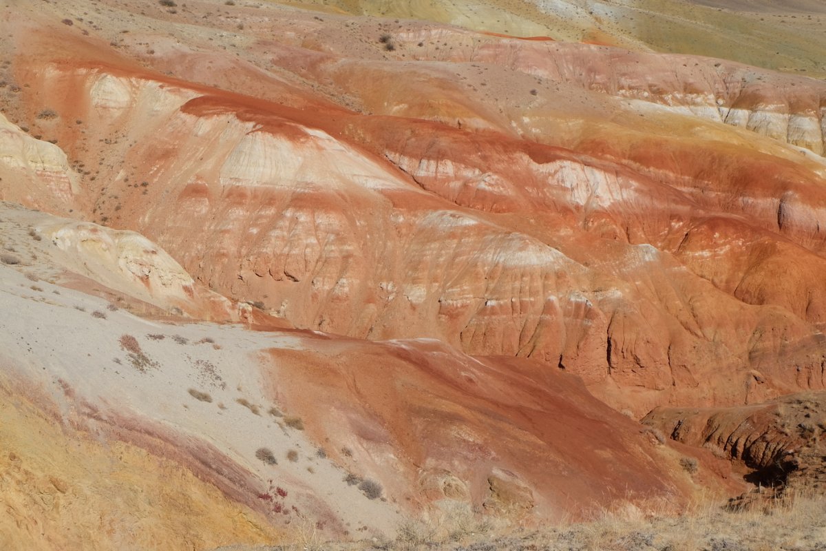 Россия - Алтай. Фото №22