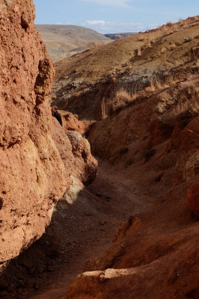 Россия - Алтай. Фото №24