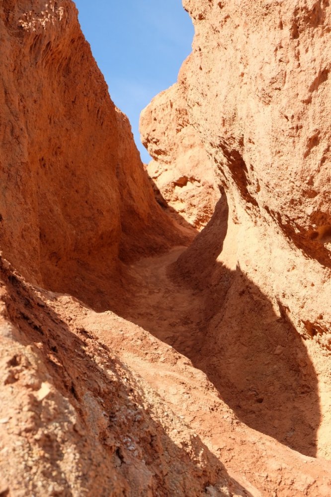 Россия - Алтай. Фото №26