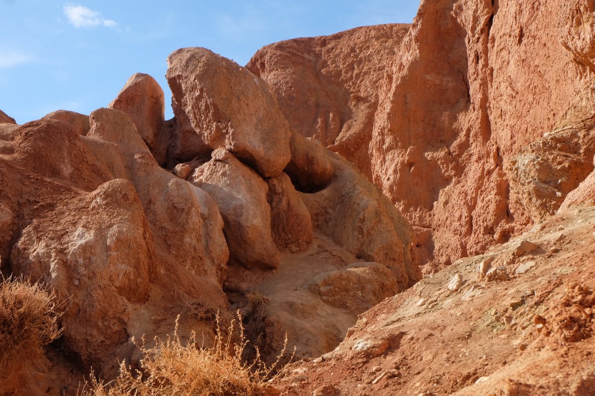 Россия - Алтай. Фото №27