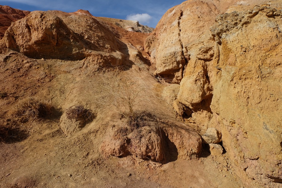 Россия - Алтай. Фото №28