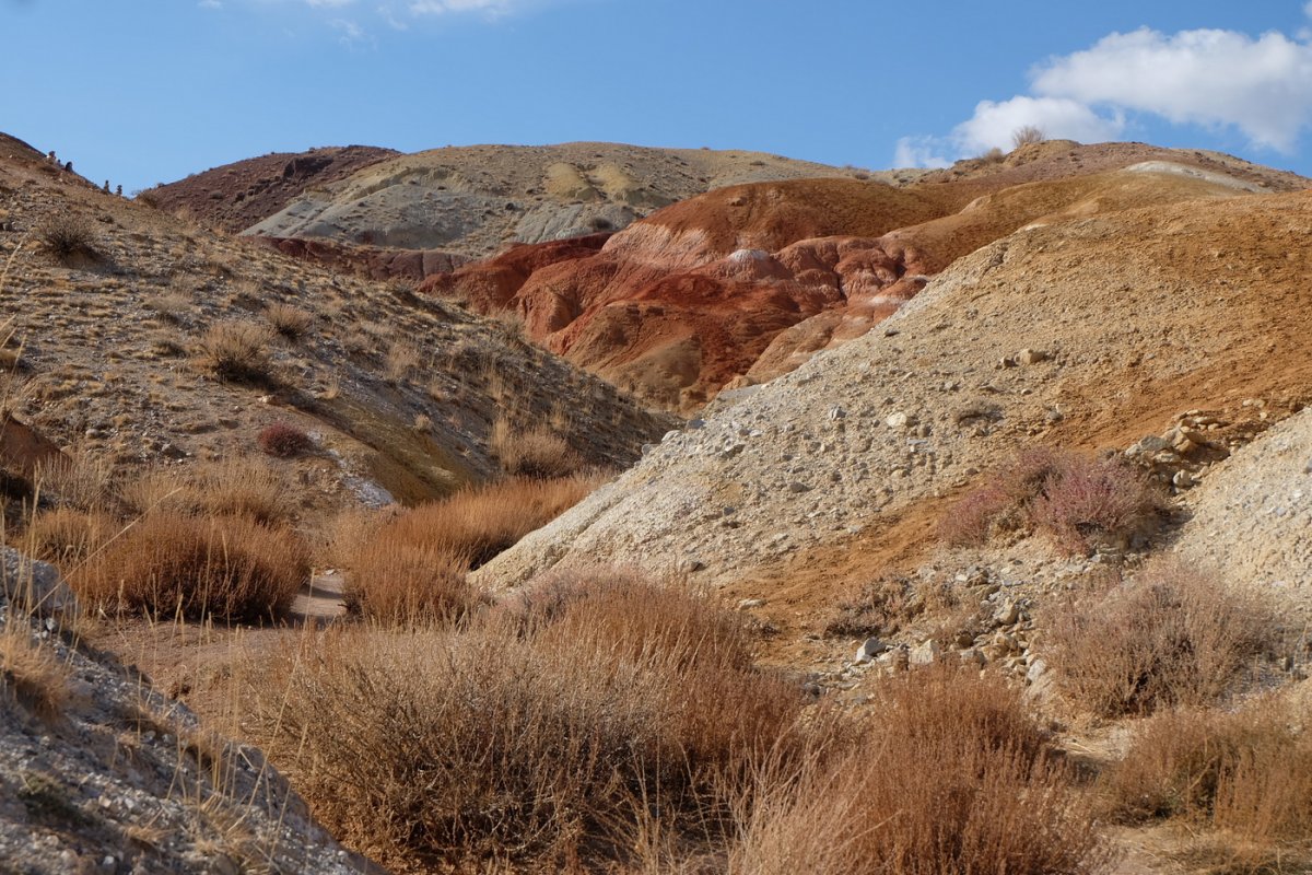 Россия - Алтай. Фото №29