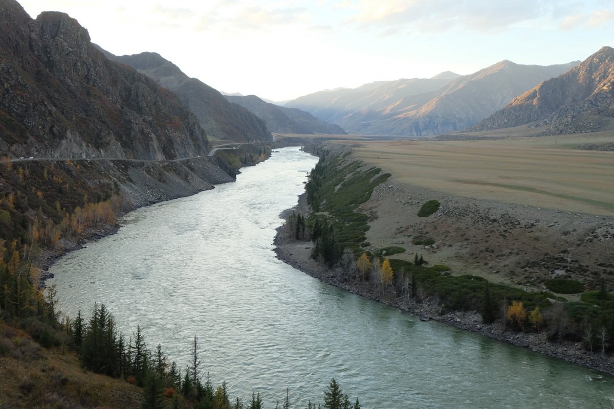 Россия - Алтай. Фото №39