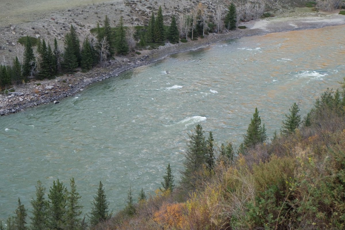 Россия - Алтай. Фото №40