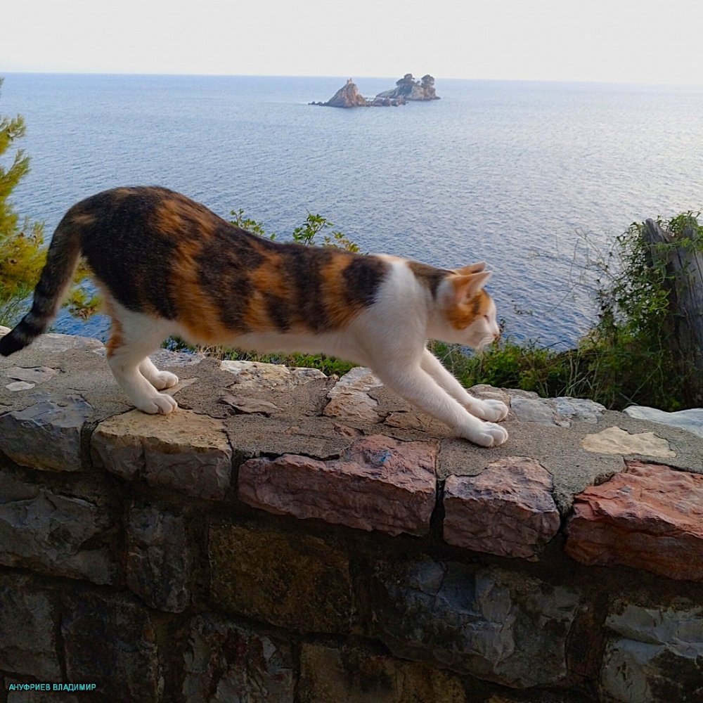 Черногория - Колашин, Подгорица, Петровац. Фото №44