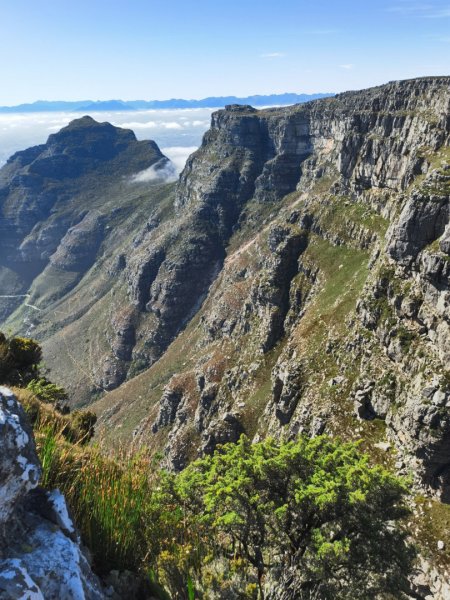 Кейптаун - Фото №5