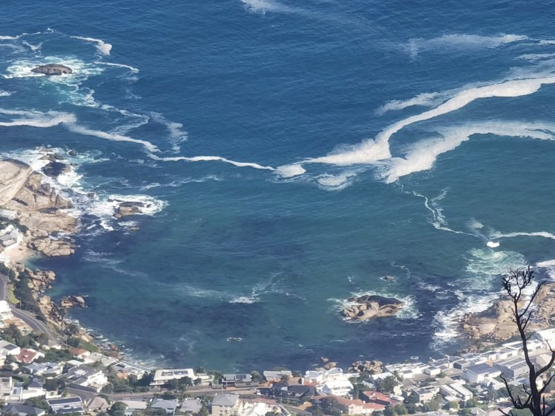 Кейптаун - Фото №7