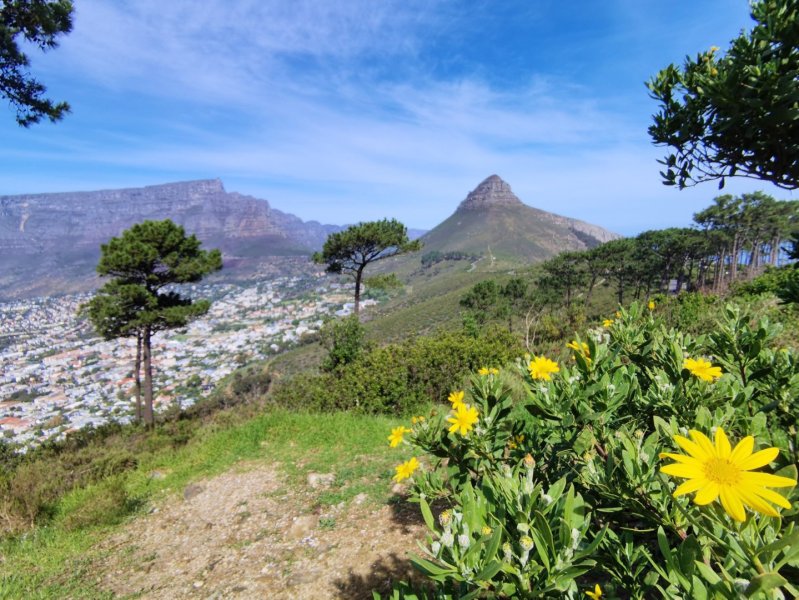Кейптаун - Фото №9