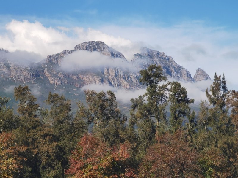 Кейптаун - Фото №15