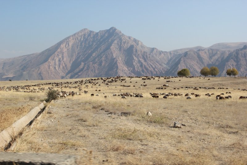 Гарни - Фото №2