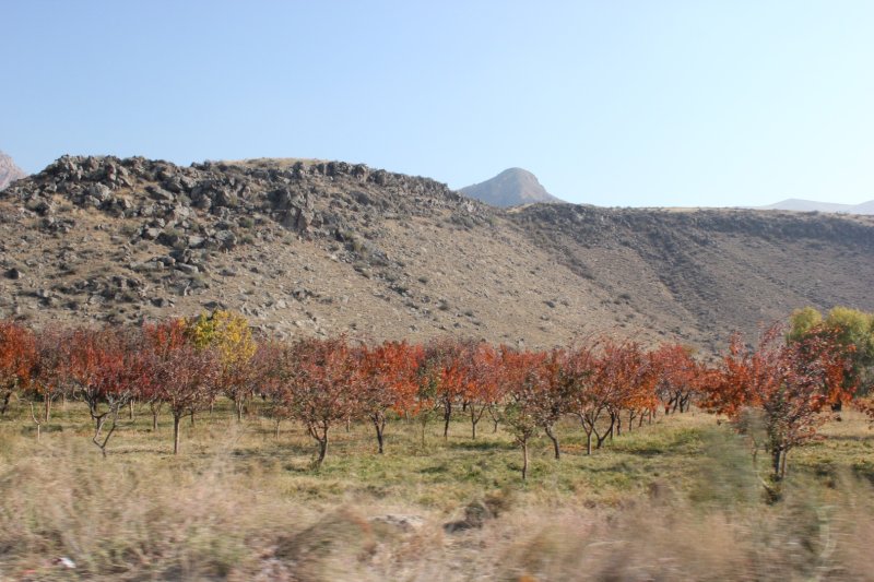 Гарни - Фото №5