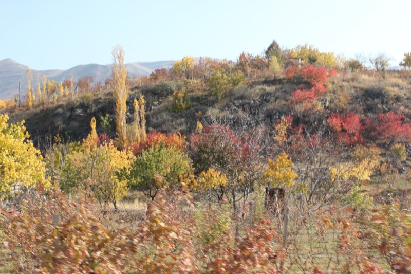 Гарни - Фото №9