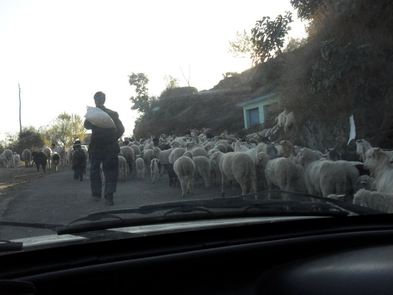 Маникаран, Ревалсар - Фото №33