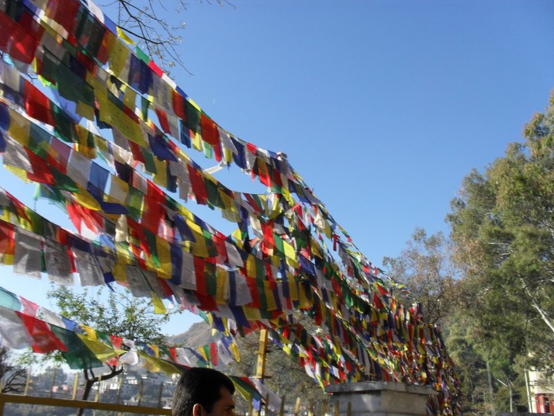 Маникаран, Ревалсар - Фото №41