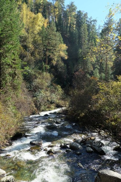 Республика Алтай - Фото №34