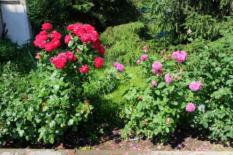 Аткарск - Фото №7