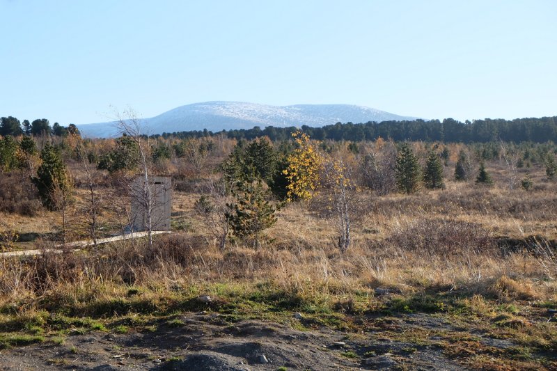 Алтай - Фото №3