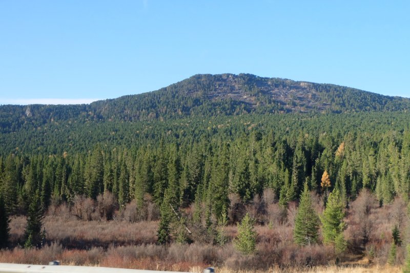 Алтай - Фото №4