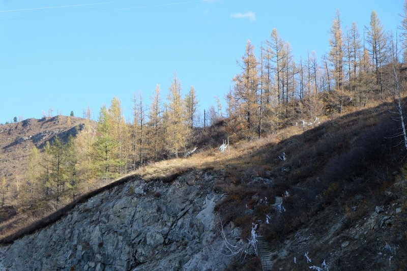 Алтай - Фото №13