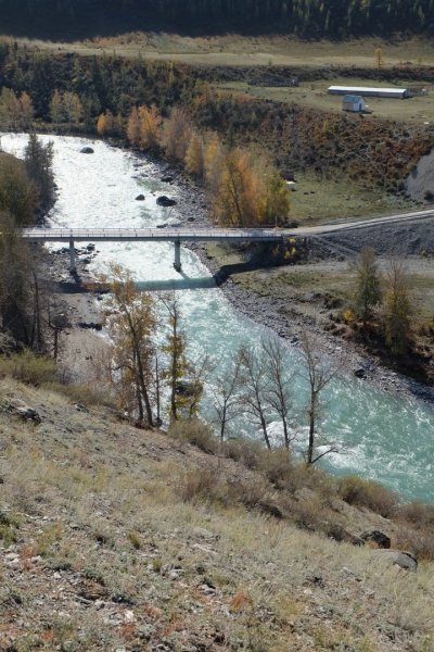 Алтай - Фото №20