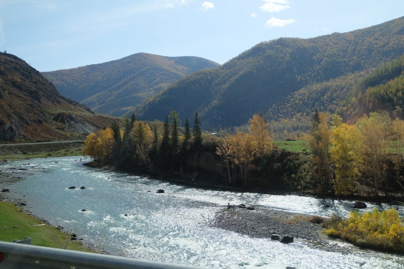 Алтай - Фото №25