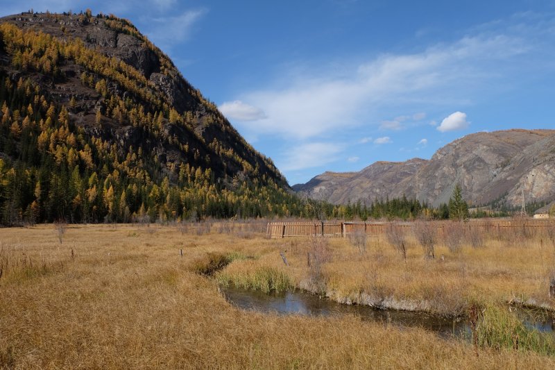 Алтай - Фото №30