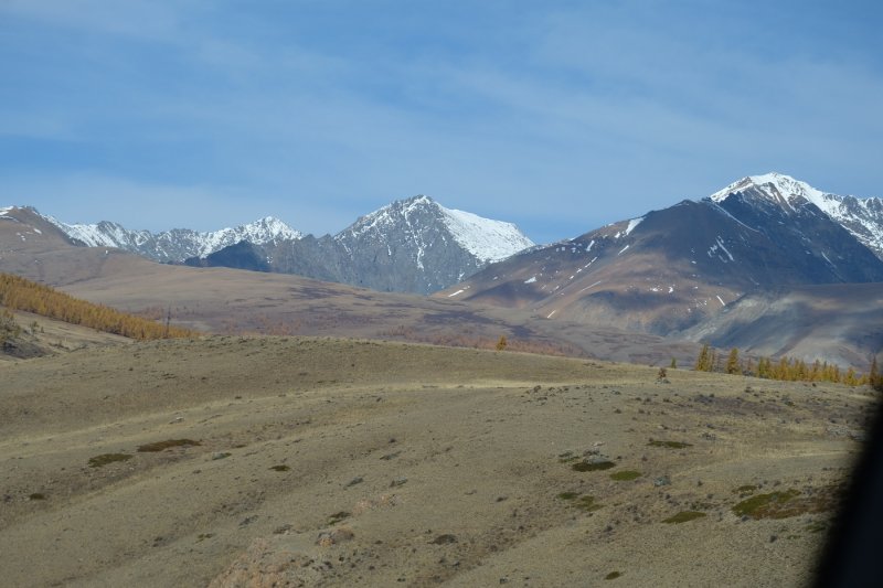 Алтай - Фото №5
