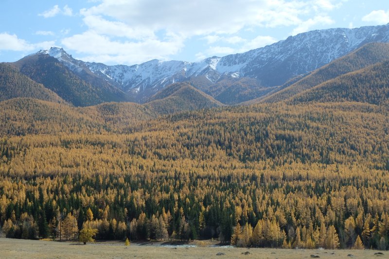 Алтай - Фото №13