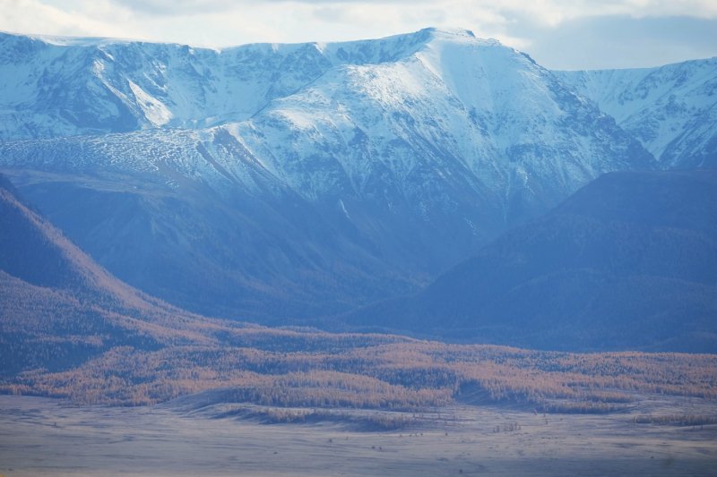 Алтай - Фото №32