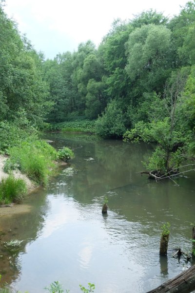 Никольск - Фото №30