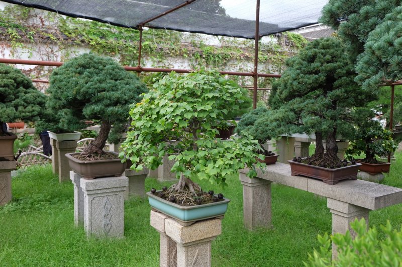 Сучжоу - Фото №18