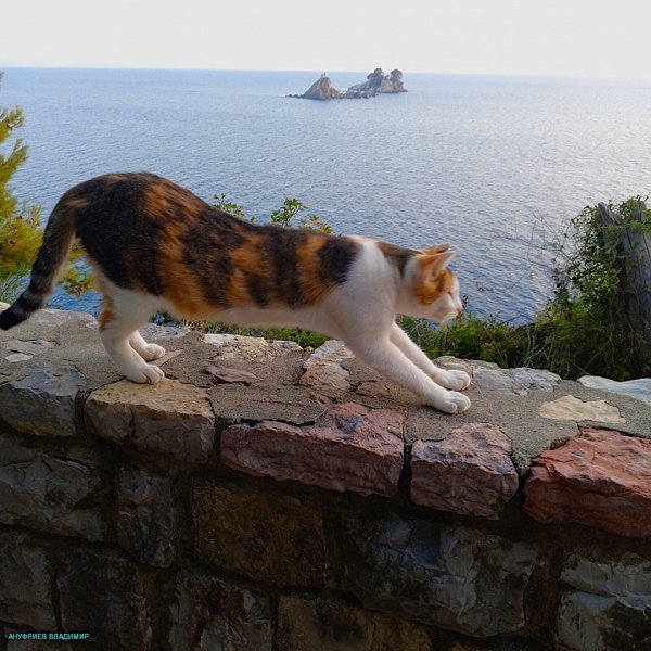 Колашин, Подгорица, Петровац - Фото №44