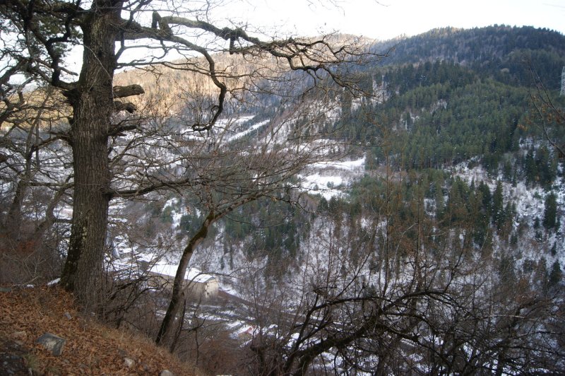 Боржоми - Фото №9