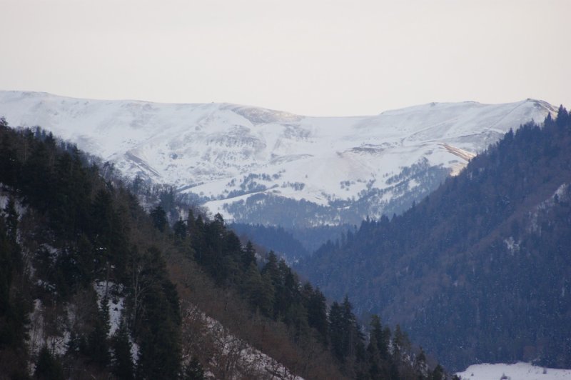 Боржоми - Фото №11