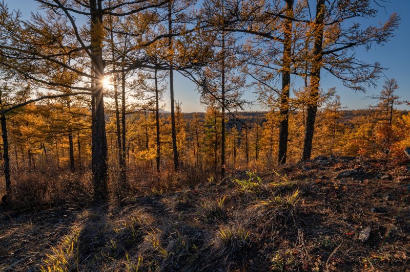 Чита г - Фото №2