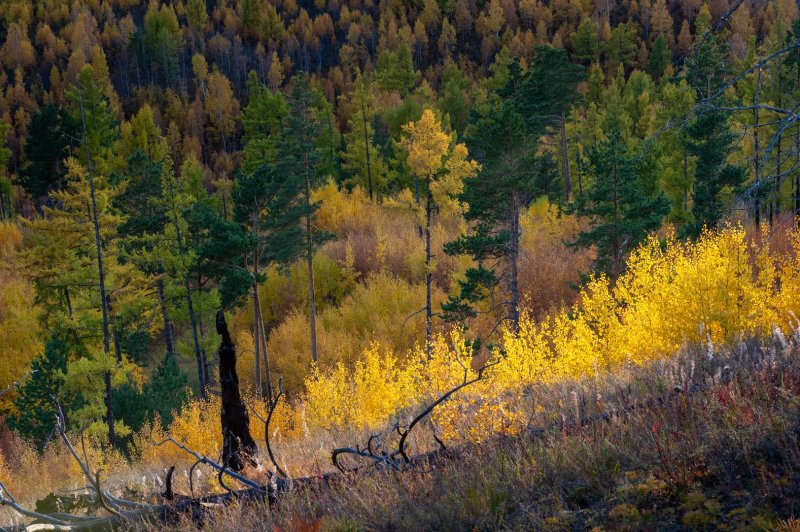 Чита г - Фото №3