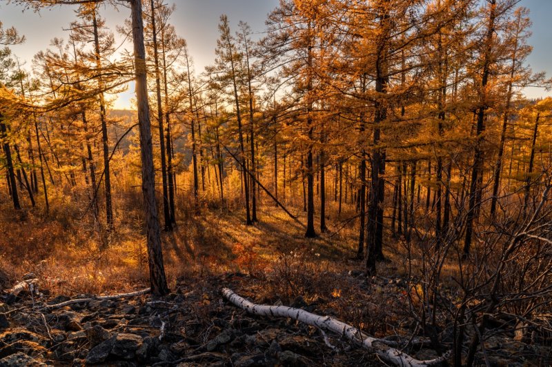 Чита г - Фото №6