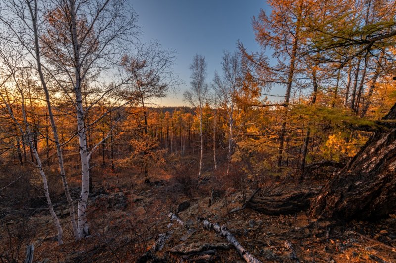 Чита г - Фото №8